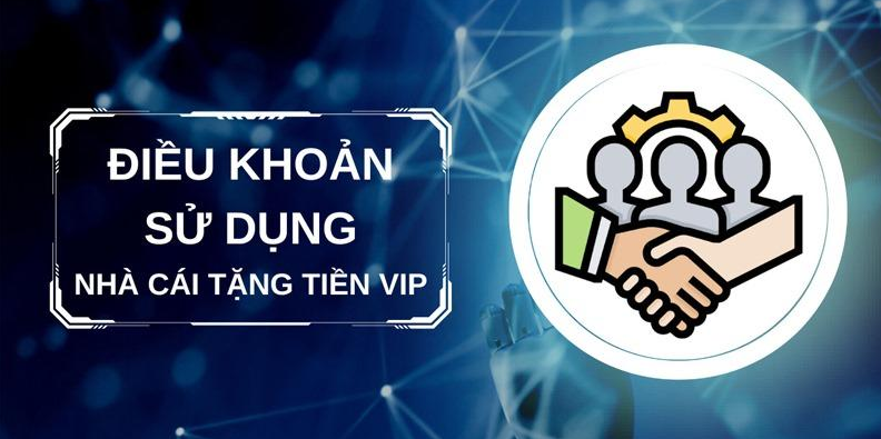 Điều khoản và điều kiện của nhà cái nhuy368